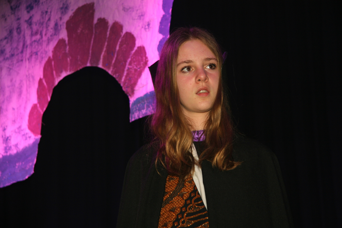 2016 Het Djinnpaleis