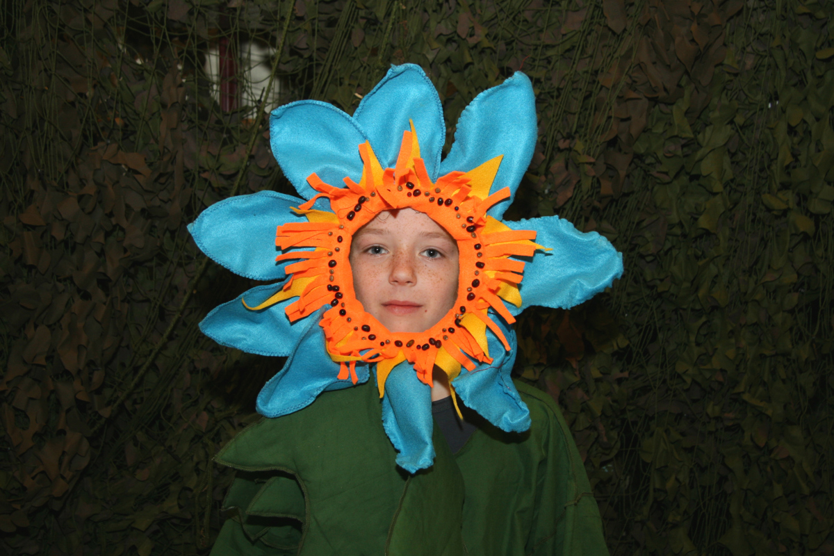 2014 De Betoverde Stad