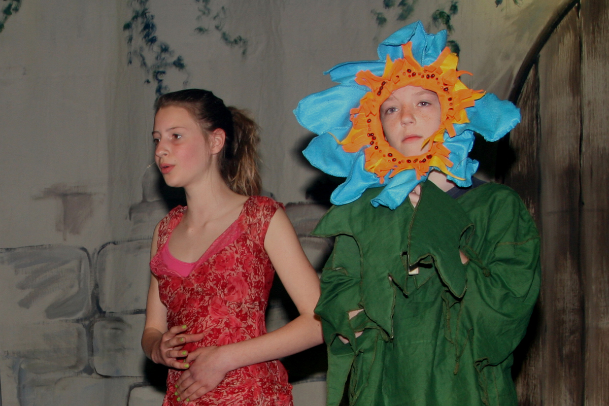 2014 De Betoverde Stad