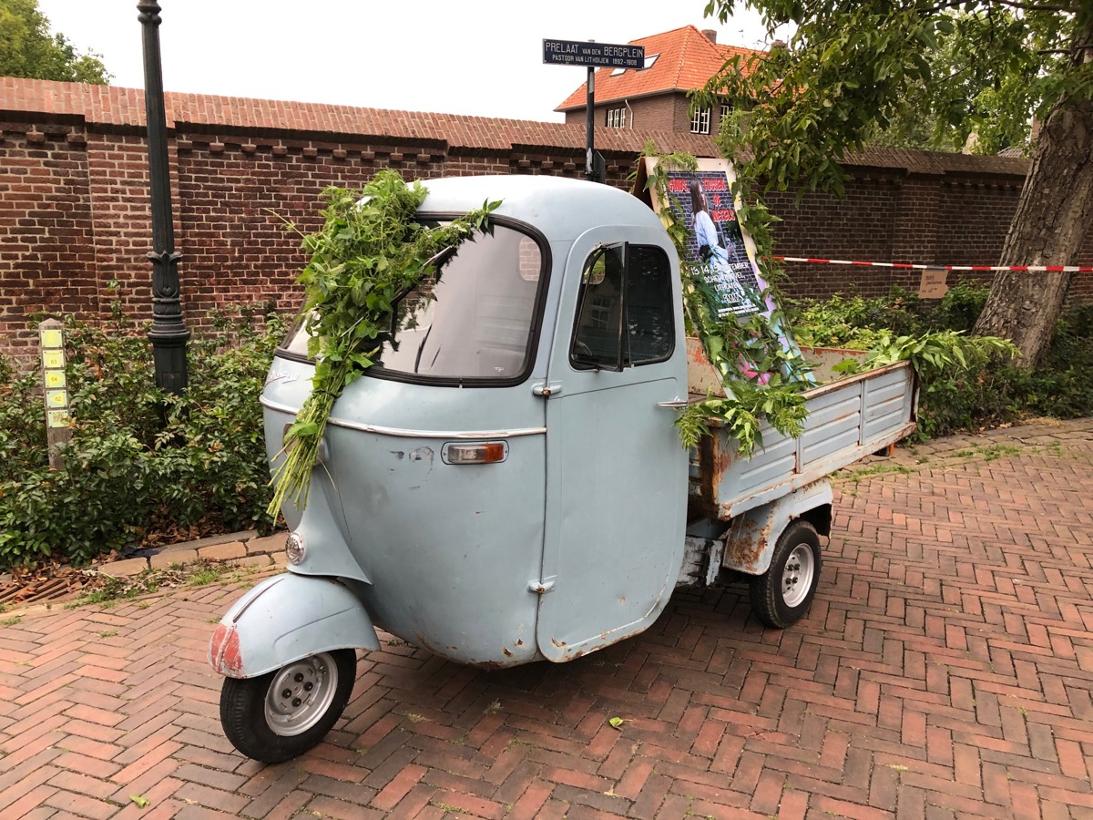 Ginds, tussen de netels