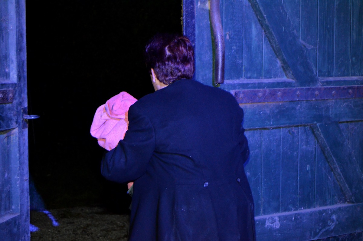 Ginds, tussen de netels